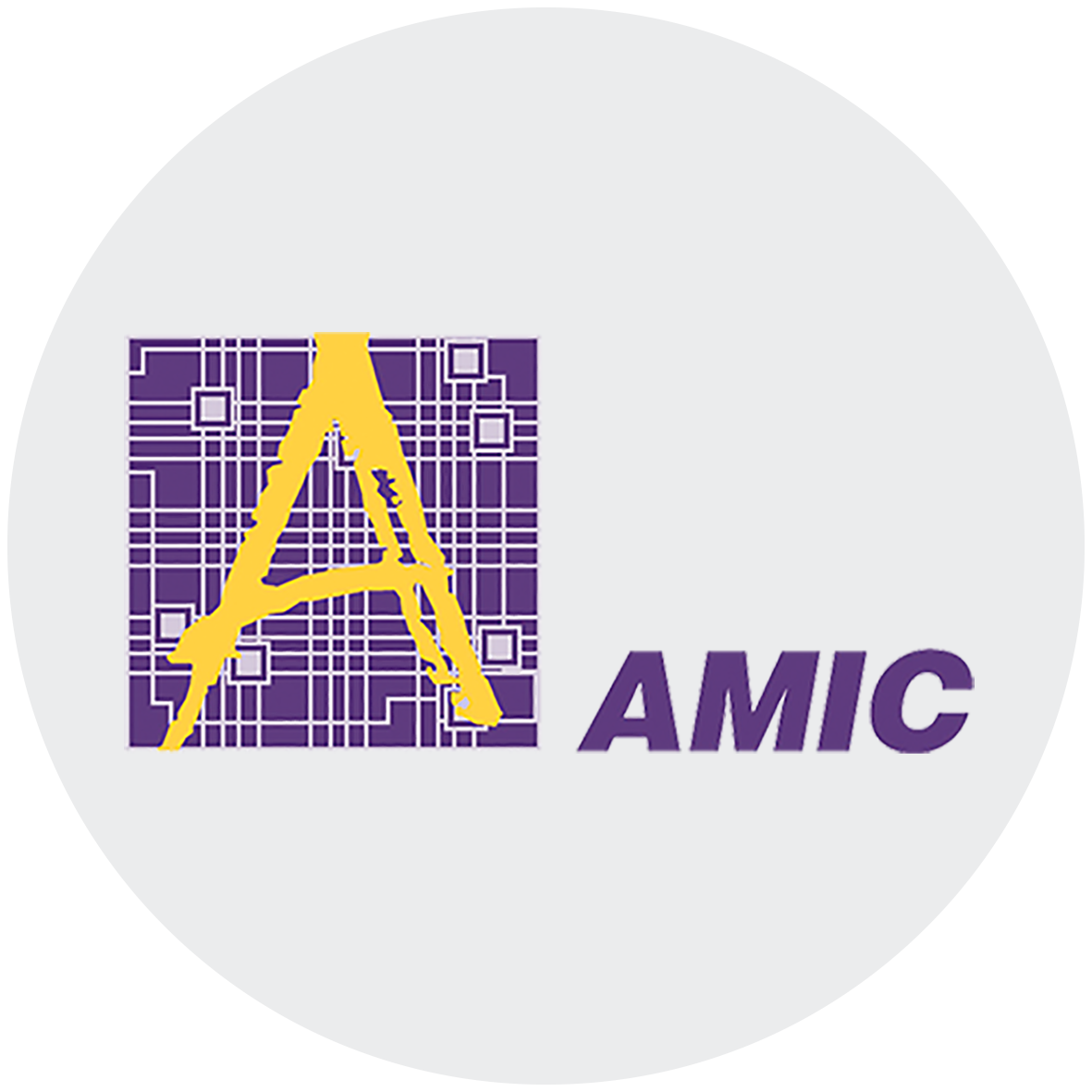 AMIC - DRAM Components