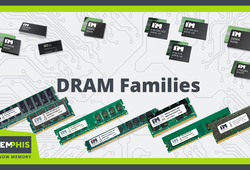 Intelligent Memory has an extensive range of DRAM families